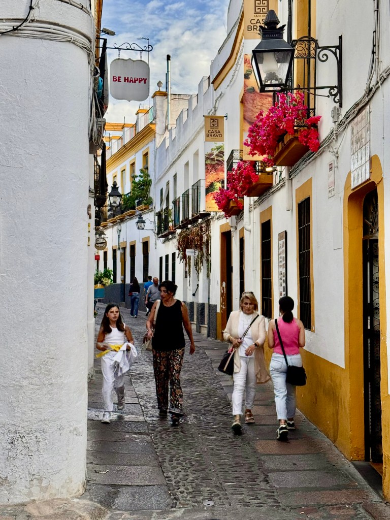 people walking down narrow street of shops