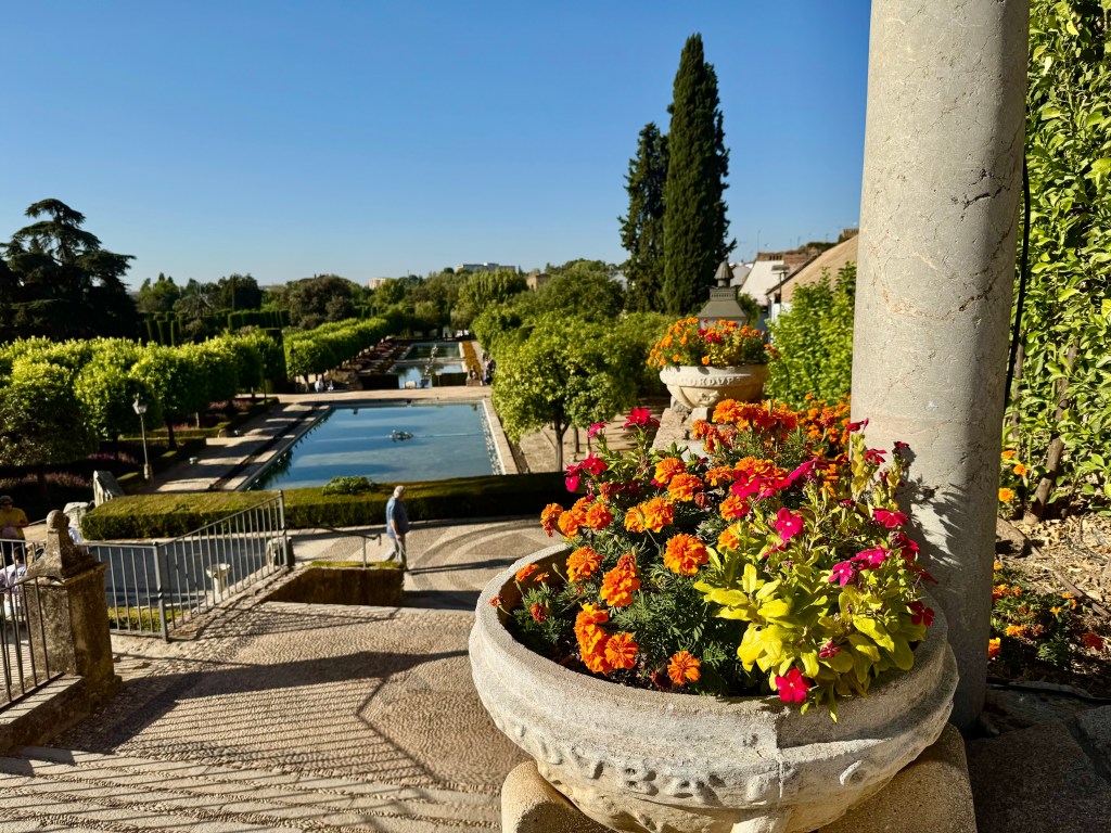 flower pot with garden and trees