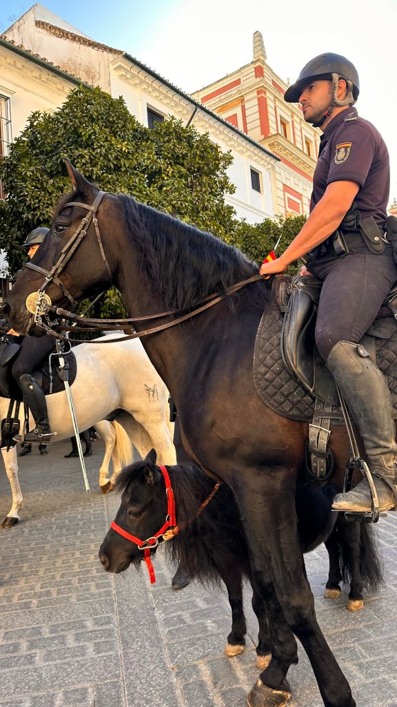 law enforcement officer on horseback