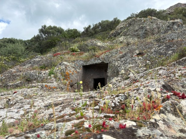 tomb cut from rockface