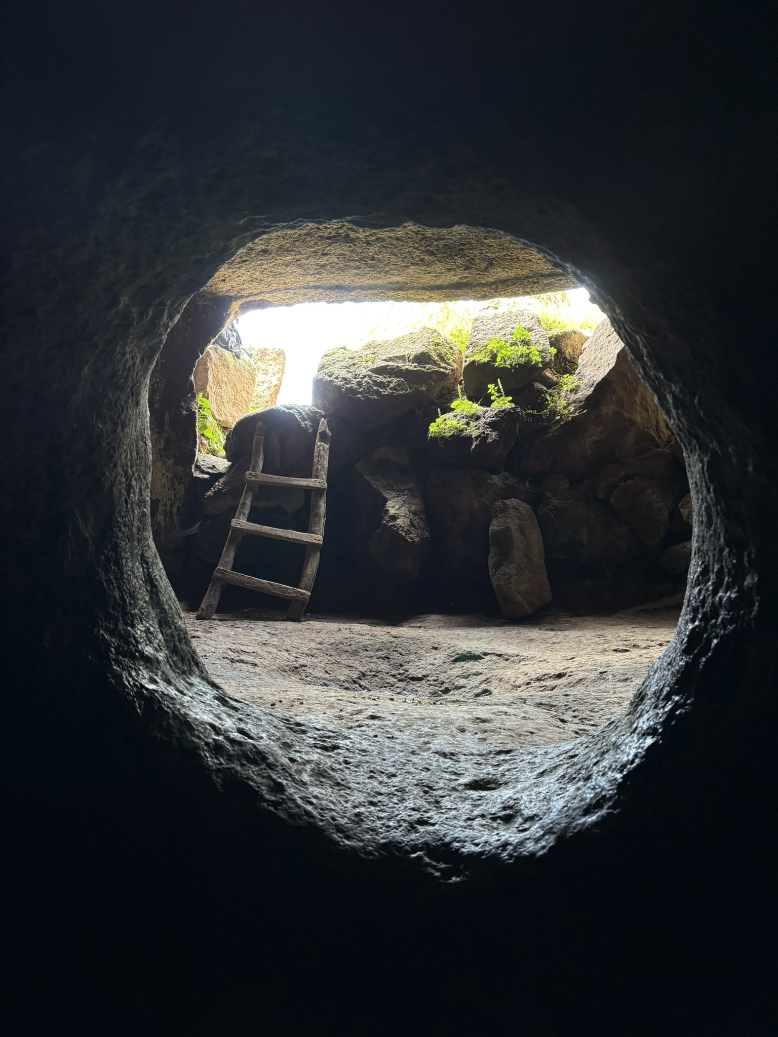 ladder inside of a cave